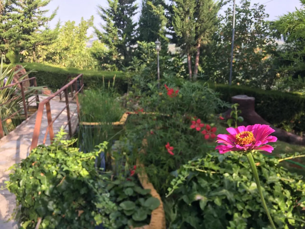 Country house Cabanas De Madera Y Bungalows - Gilmanas 3 La Iruela Spain